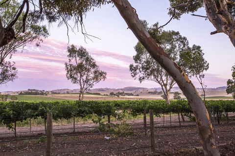 Jasmine\'s Barossa Valley Cottage - Accommodation Redcliffe 19