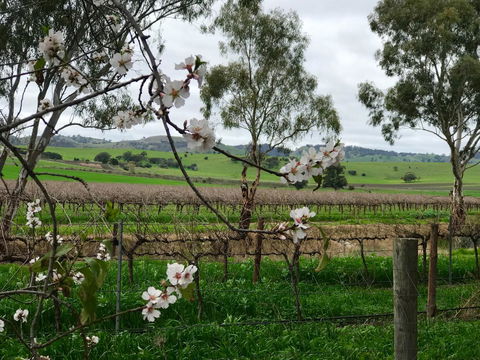 Jasmine\'s Barossa Valley Cottage - Accommodation Redcliffe 20