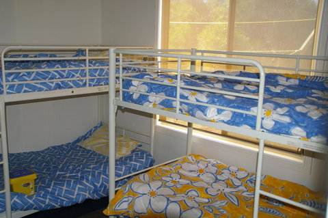 The Hakeas - Accommodation Redcliffe 5