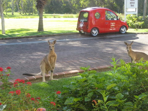 Aston Motel Yamba - Accommodation Redcliffe 6