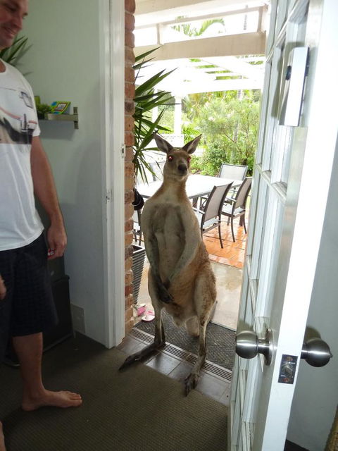 Aston Motel Yamba - Accommodation Redcliffe 10