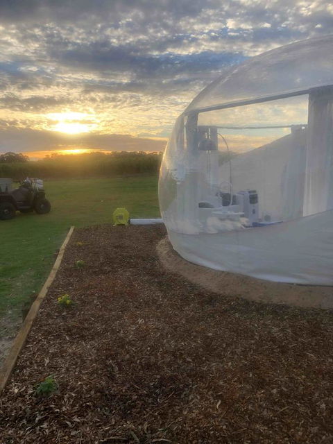 Coonawarra Bubble Tents - Accommodation Redcliffe 6