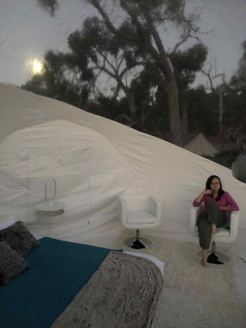 Coonawarra Bubble Tents - Accommodation Redcliffe 1