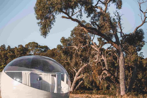 Coonawarra Bubble Tents - Accommodation Redcliffe 10