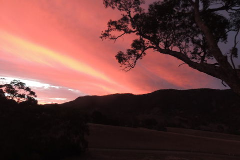 Wozza's B&B - Accommodation Redcliffe 5