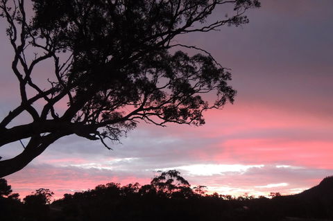 Wozza's B&B - Accommodation Redcliffe 3