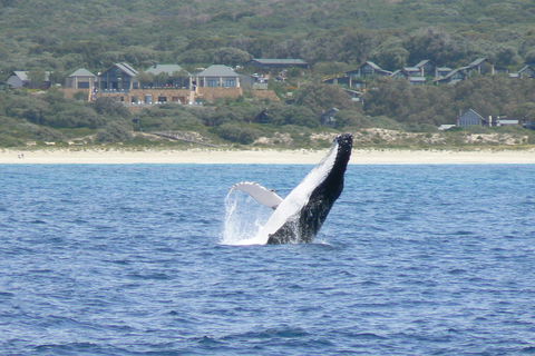 Pullman Bunker Bay Resort Margaret River - Accommodation Redcliffe 25