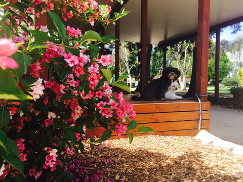 Armidale Tourist Park - Accommodation Redcliffe 34