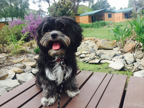 Armidale Tourist Park - Accommodation Redcliffe 32