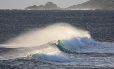 Riverview Tourist Park - Accommodation Redcliffe 33