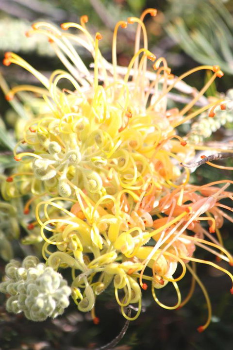 Riverview Tourist Park - Accommodation Redcliffe 37