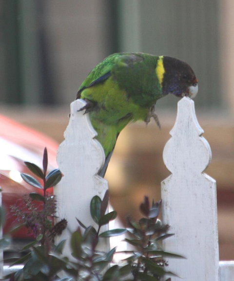 Riverview Tourist Park - Accommodation Redcliffe 35