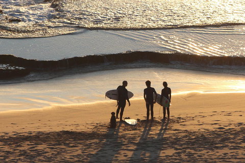 Riverview Tourist Park - Accommodation Redcliffe 31