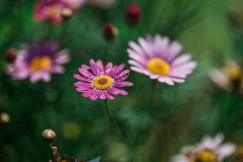 The Floating Forest - Accommodation Redcliffe 29