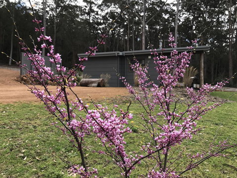 The Floating Forest - Accommodation Redcliffe 15