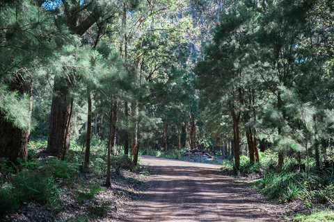 The Floating Forest - Accommodation Redcliffe 30