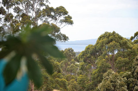 The Floating Forest - Accommodation Redcliffe 8