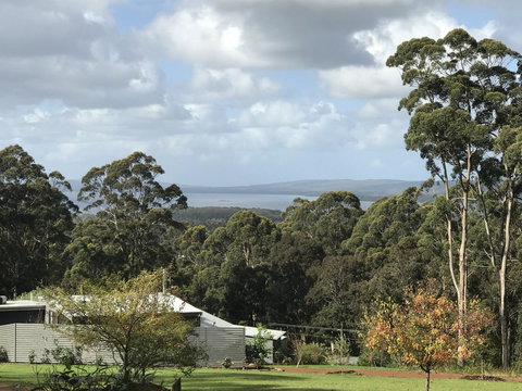 The Floating Forest - Accommodation Redcliffe 2
