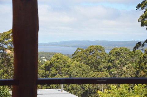 The Floating Forest - Accommodation Redcliffe 21