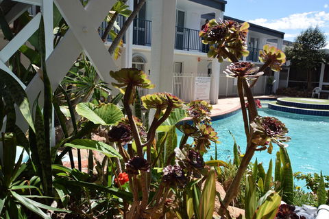 West Beach Lagoon 220 Stylish And Cozy - Accommodation Redcliffe 18