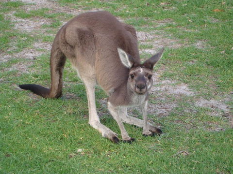 Bella Bali Gardens - Accommodation Redcliffe 39