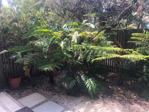 East On Byron - Accommodation Redcliffe 40
