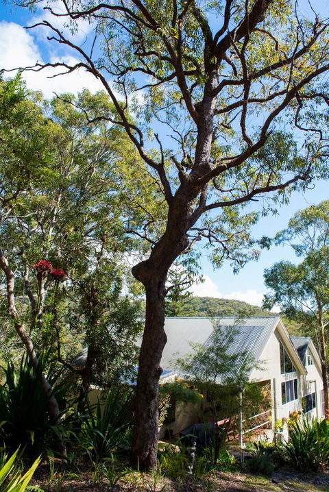 Nelson Bay Bed & Breakfast - Accommodation Redcliffe 42