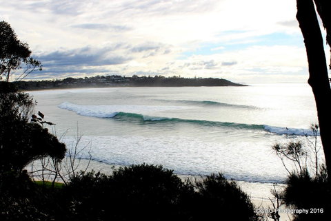 Mollymook Cove Apartments - Accommodation Redcliffe 2
