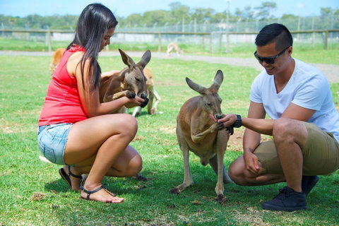 On The Beach Getaway - Accommodation Redcliffe 25