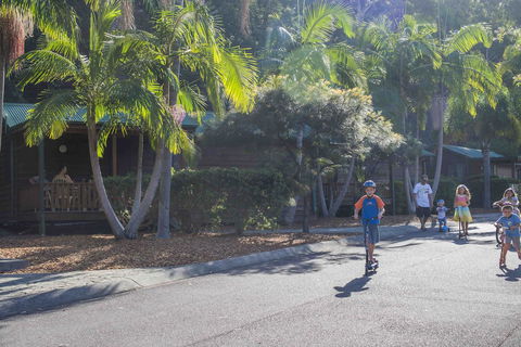 The Palms At Avoca - Accommodation Redcliffe 14