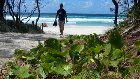 SaltBeach2302 - Accommodation Redcliffe 15