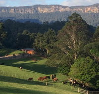 Amaroo Valley Springs - Accommodation Redcliffe