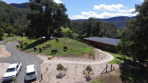 Amaroo Valley Springs - Accommodation Redcliffe 19