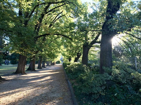 The Botanical 201 - Accommodation Redcliffe 17