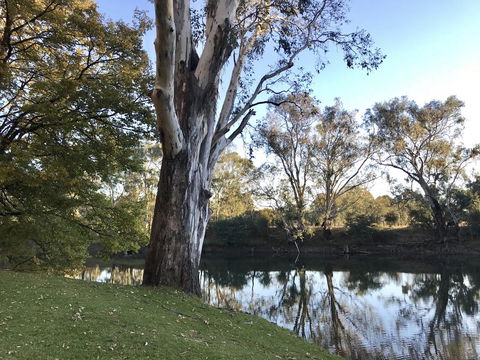 The Botanical 201 - Accommodation Redcliffe 18