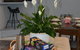 Yigala House - thumb 10