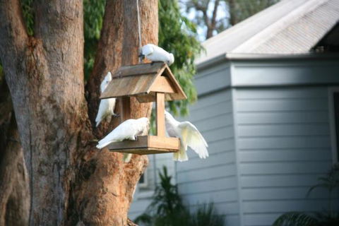Huskisson Holiday Motel Cabins - Accommodation Redcliffe 29