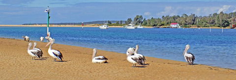 Pelican Motor Inn - Accommodation Redcliffe 29