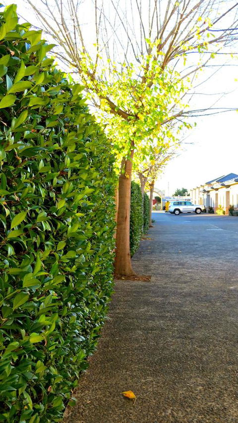 Best Western Plus Goulburn - Accommodation Redcliffe 37