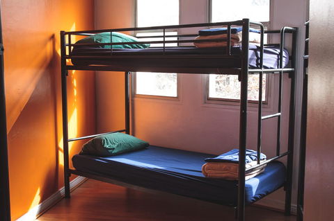 Mad Monkey Kings Cross - Accommodation Redcliffe 29