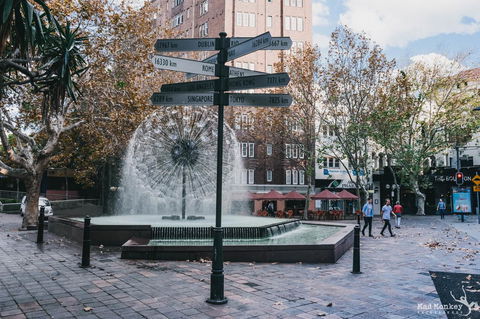 Mad Monkey Kings Cross - Accommodation Redcliffe 2