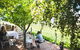 Borrodell Vineyard - thumb 6