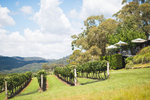 Borrodell Vineyard - Accommodation Redcliffe 12