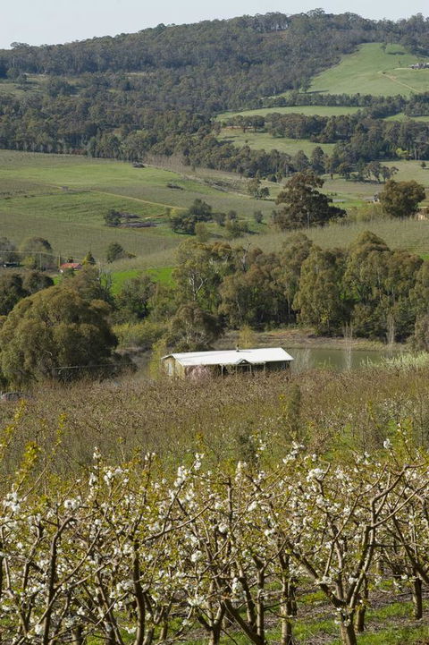 Borrodell Vineyard - Accommodation Redcliffe 30