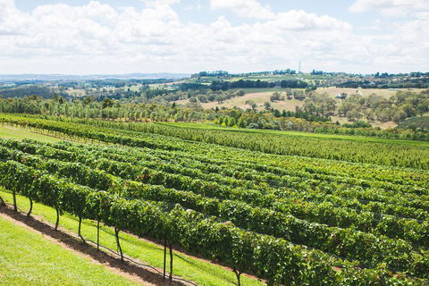 Borrodell Vineyard - Accommodation Redcliffe 29
