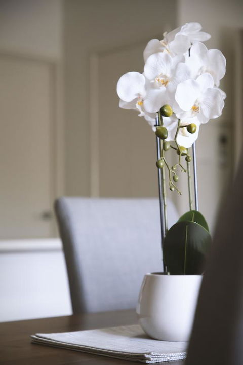 Quest Wagga Wagga - Accommodation Redcliffe 18