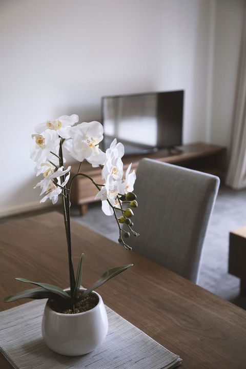 Quest Wagga Wagga - Accommodation Redcliffe 11