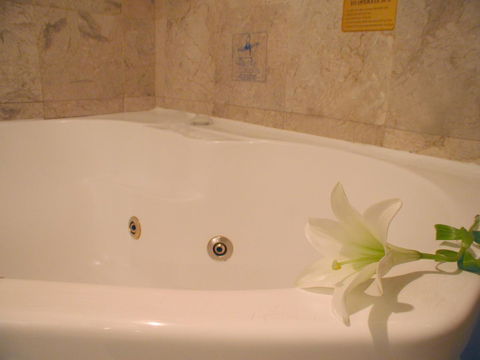 Novotel Sydney Brighton Beach - Accommodation Redcliffe 11