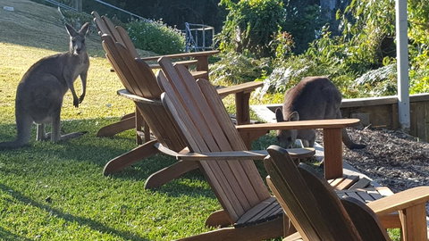 The Edgewater On Greville - Accommodation Redcliffe 18