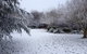Warriwillah - Millthorpe's Country Motel - thumb 12